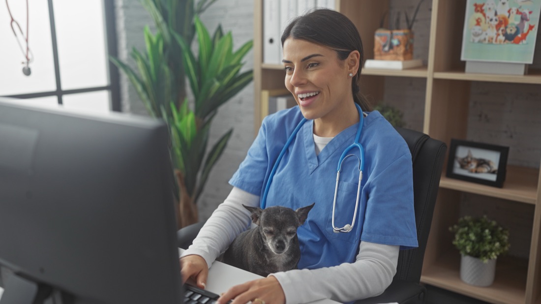 Veterinary nurse holding a chihuahua and smiling