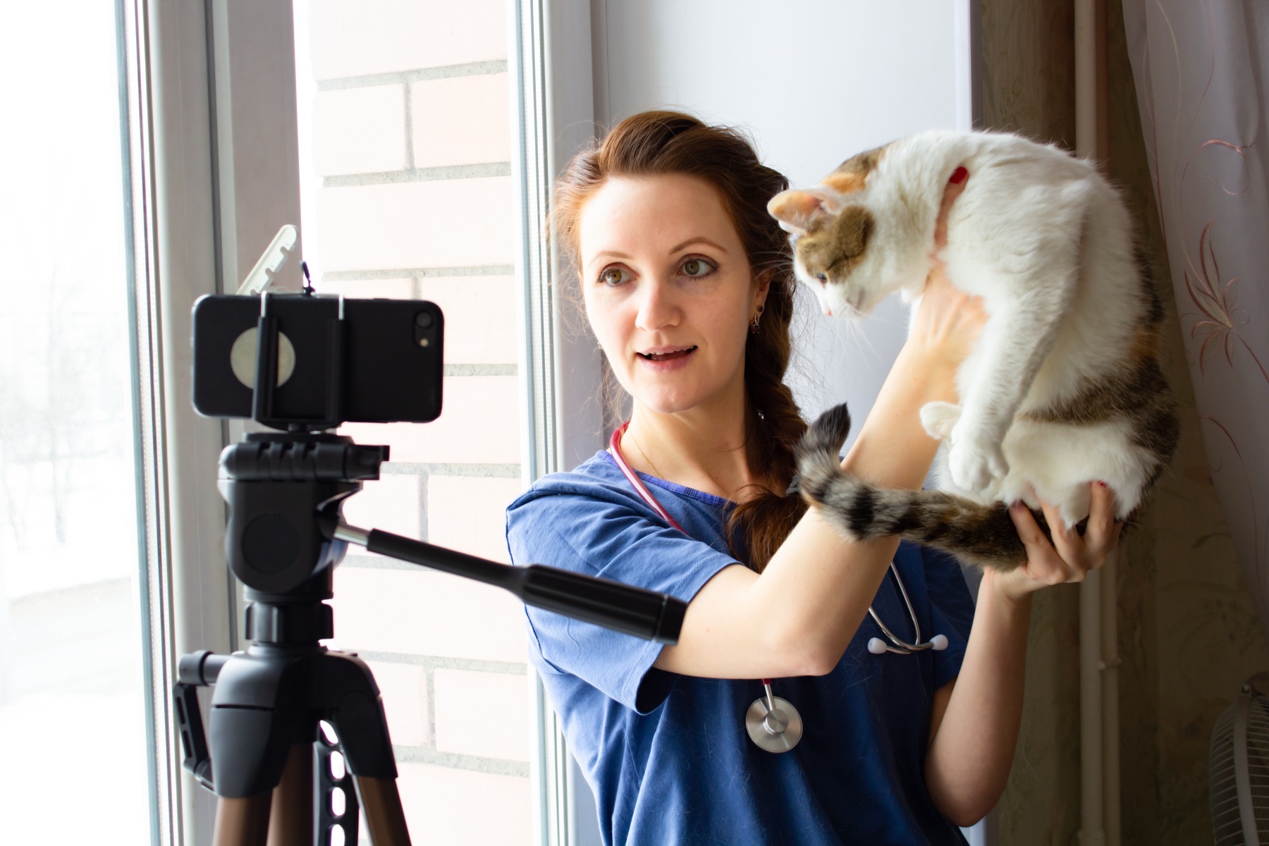 Veterinarian recording a video with a cat for social media