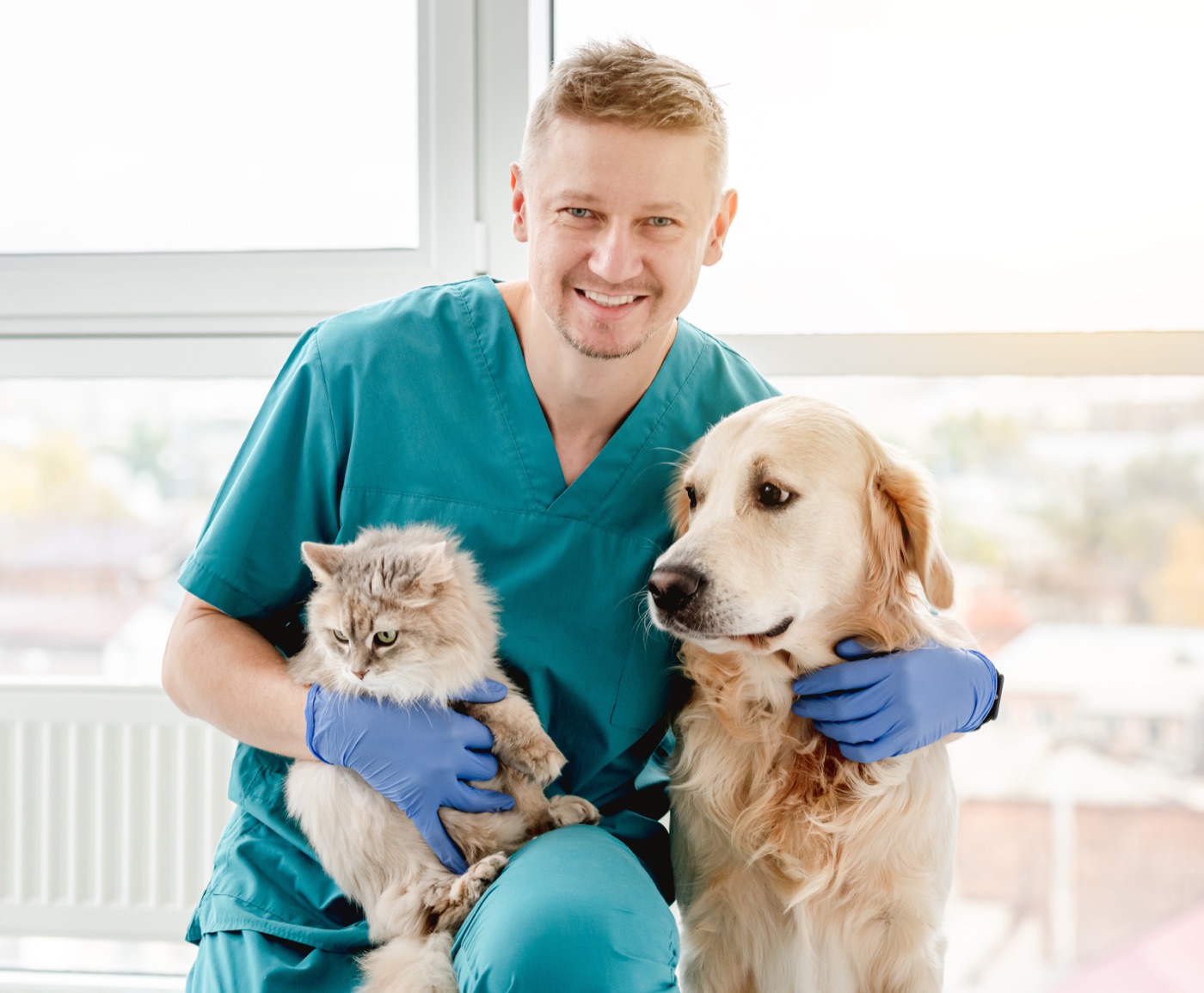 Smiling veterinarian holding a cat and a golden retriever